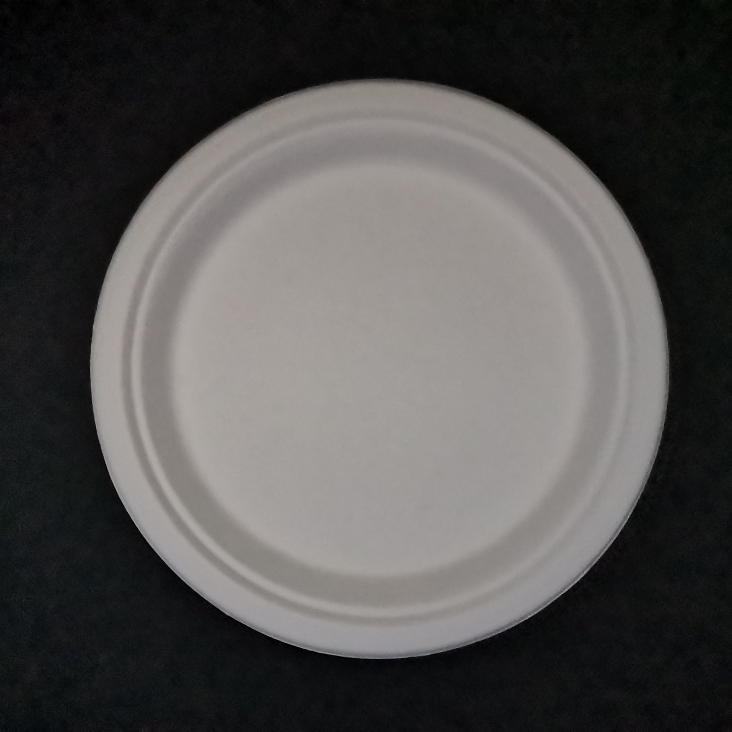 9'' Biodegradable Plates