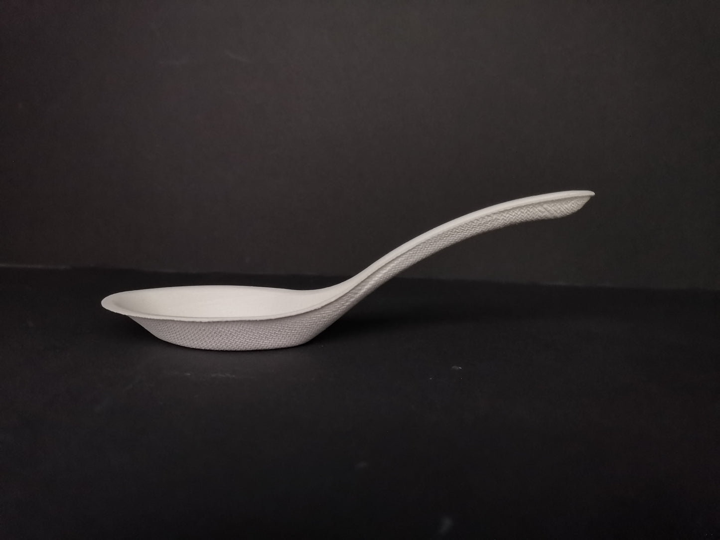 Bio Soup Spoon