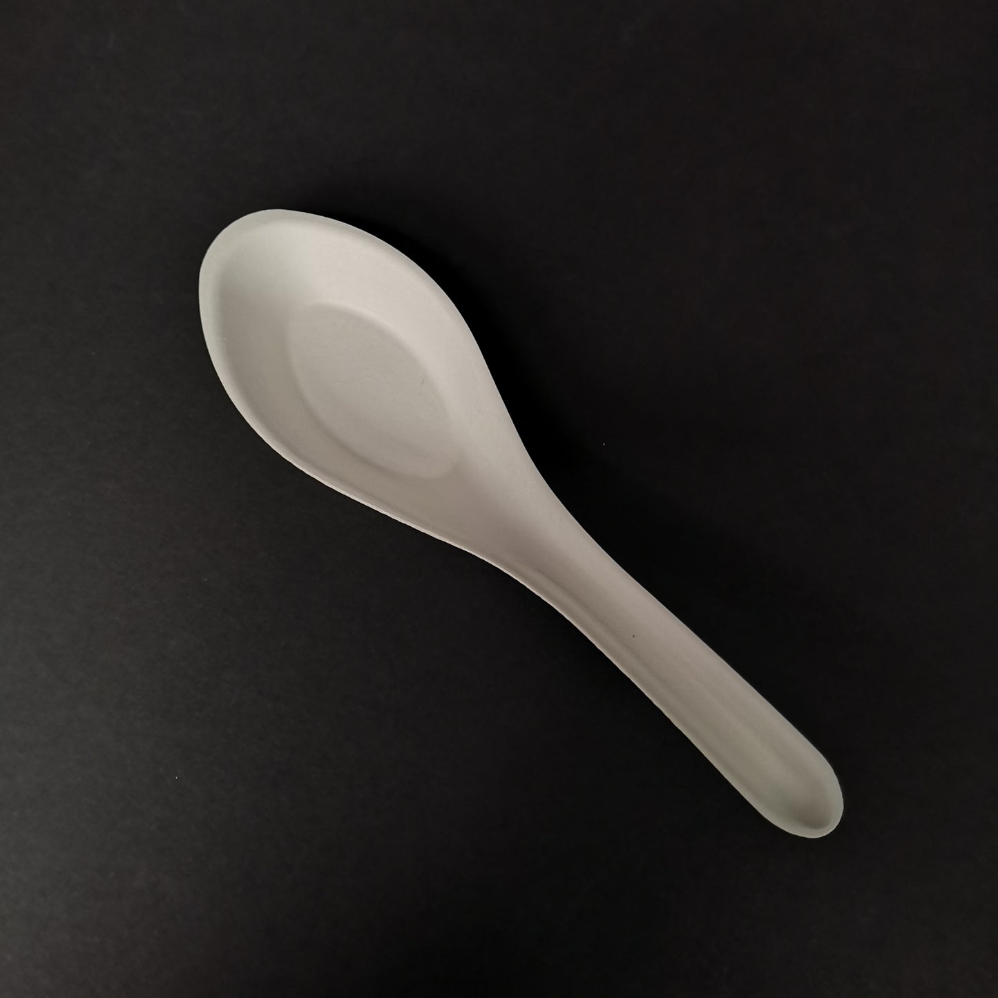 Bio Soup Spoon