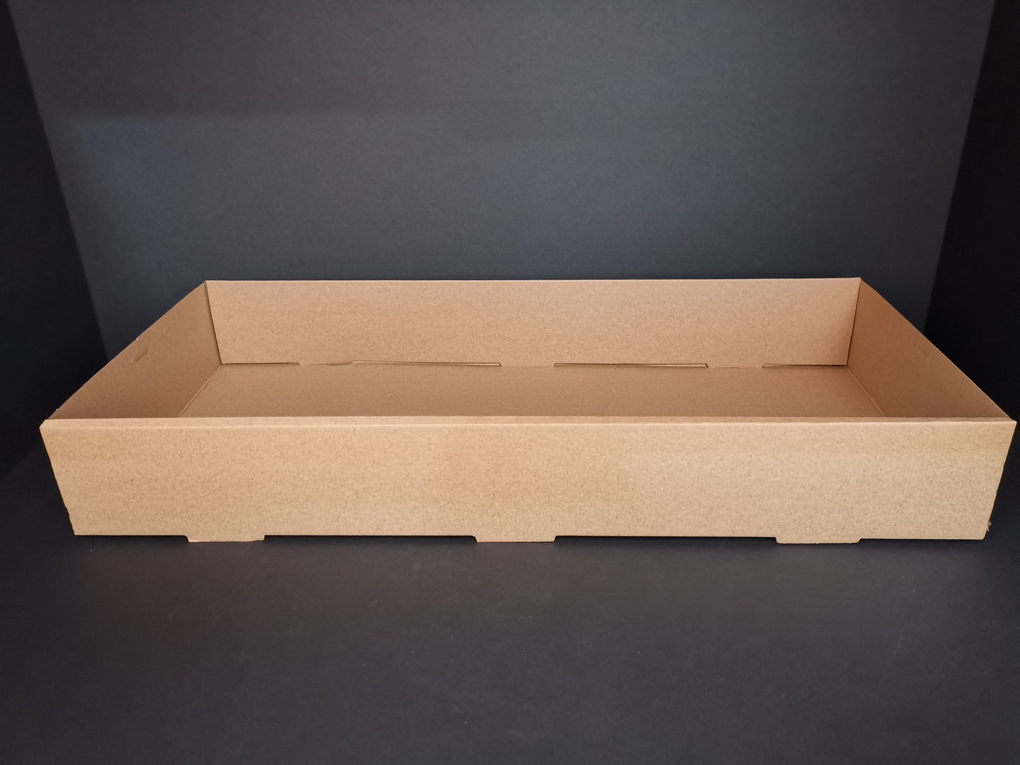 Catering Cardboard Tray L