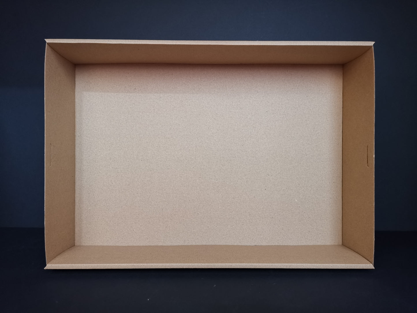 Catering Cardboard Tray M