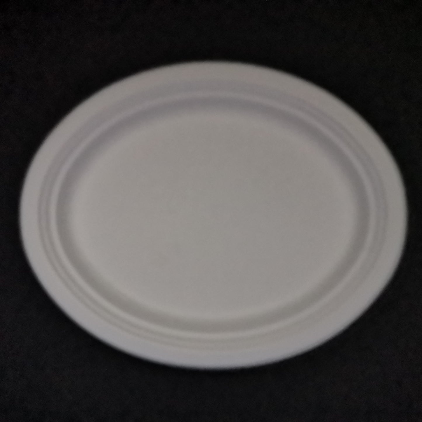 Oval Biodegradables Plates Large