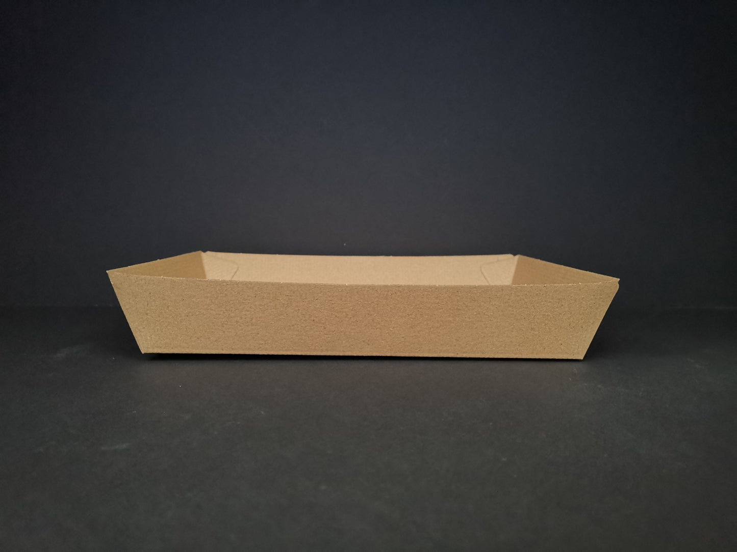 Cardboard Tray no.4