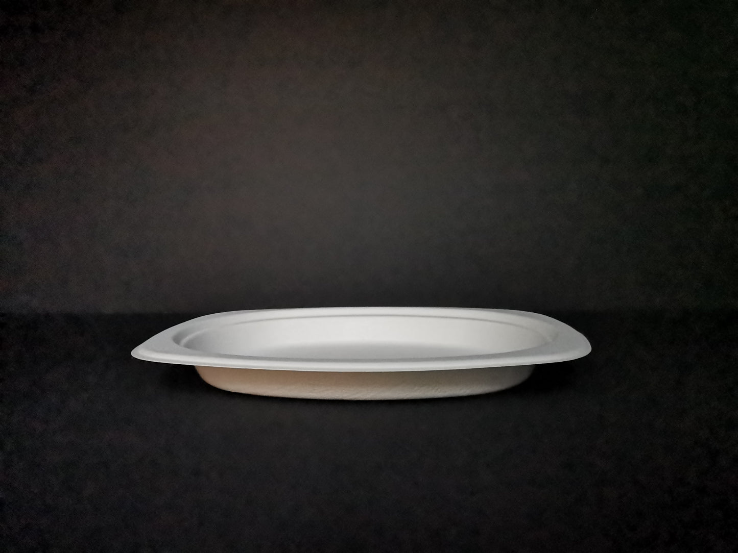 Oval Biodegradable Plates